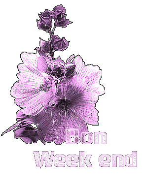 Le WeEk EnD...